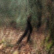 A la lueur des saisons