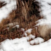 «À la lueur des saisons» Philippe Cadu