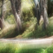 A la lueur des saisons Eté-(C) Philippe.Cadu