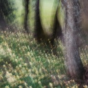 A la lueur des saisons Printemps(C) Philippe.Cadu