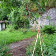 Le jardin perché